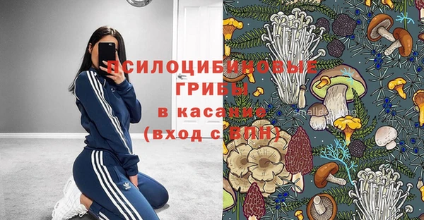 амфетамин Белокуриха