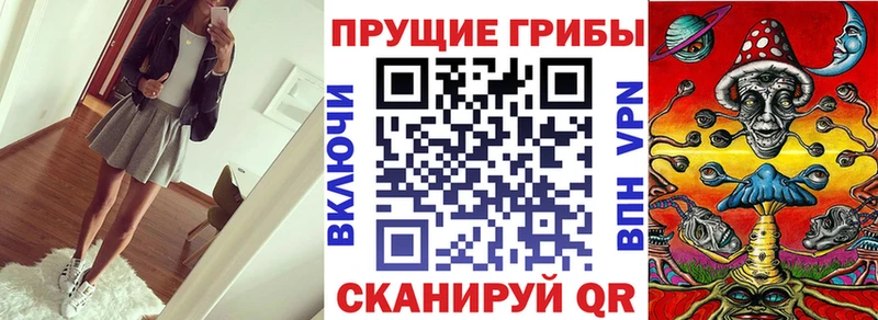 Галлюциногенные грибы Magic Shrooms  блэк спрут сайт  Курлово 